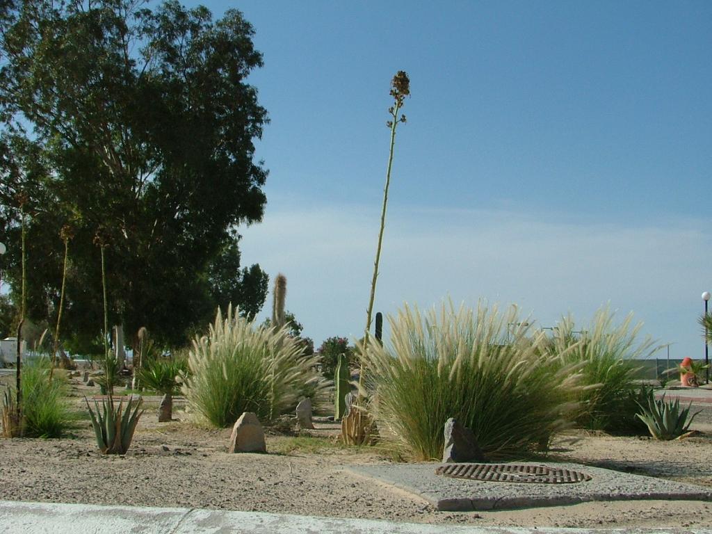 San Felipe Marina Resort Exterior photo